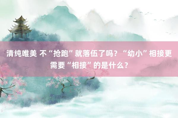 清纯唯美 不“抢跑”就落伍了吗？“幼小”相接更需要“相接”的是什么？