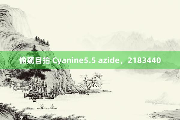 偷窥自拍 Cyanine5.5 azide，2183440