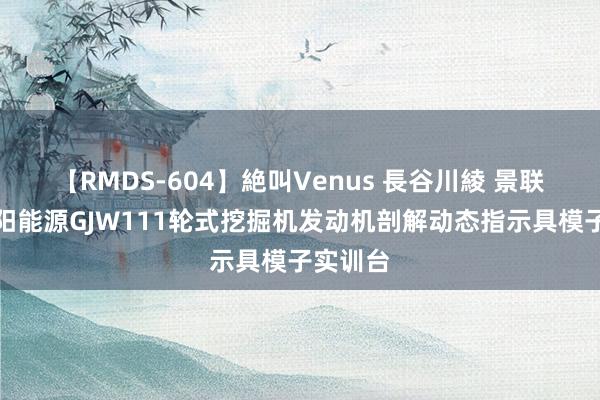 【RMDS-604】絶叫Venus 長谷川綾 景联云创詹阳能源GJW111轮式挖掘机发动机剖解动态指示具模子实训台