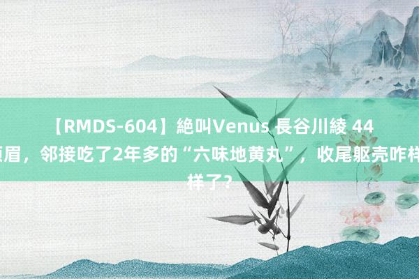 【RMDS-604】絶叫Venus 長谷川綾 44岁须眉，邻接吃了2年多的“六味地黄丸”，收尾躯壳咋样了？