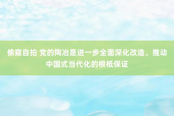 偷窥自拍 党的陶冶是进一步全面深化改造、推动中国式当代化的根柢保证