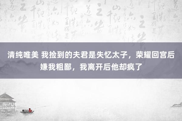 清纯唯美 我捡到的夫君是失忆太子，荣耀回宫后嫌我粗鄙，我离开后他却疯了