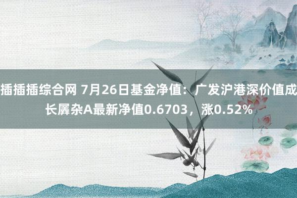 插插插综合网 7月26日基金净值：广发沪港深价值成长羼杂A最新净值0.6703，涨0.52%