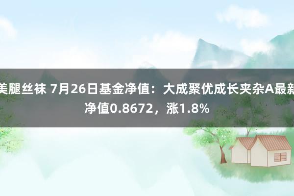 美腿丝袜 7月26日基金净值：大成聚优成长夹杂A最新净值0.8672，涨1.8%