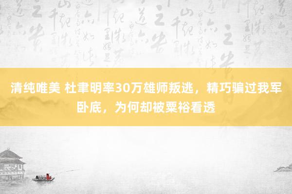 清纯唯美 杜聿明率30万雄师叛逃，精巧骗过我军卧底，为何却被粟裕看透