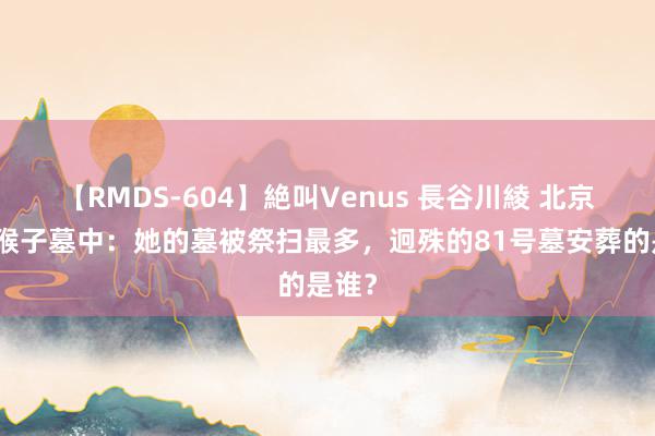 【RMDS-604】絶叫Venus 長谷川綾 北京八宝猴子墓中：她的墓被祭扫最多，迥殊的81号墓安葬的是谁？