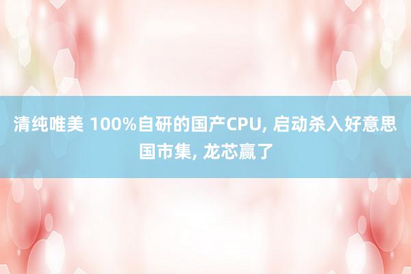 清纯唯美 100%自研的国产CPU, 启动杀入好意思国市集, 龙芯赢了