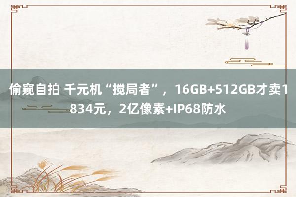 偷窥自拍 千元机“搅局者”，16GB+512GB才卖1834元，2亿像素+IP68防水