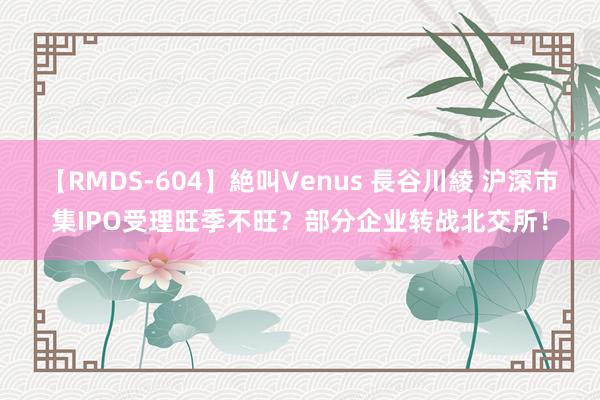 【RMDS-604】絶叫Venus 長谷川綾 沪深市集IPO受理旺季不旺？部分企业转战北交所！