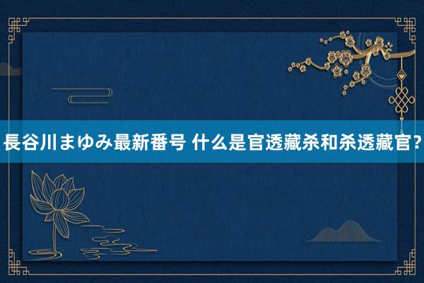 長谷川まゆみ最新番号 什么是官透藏杀和杀透藏官？