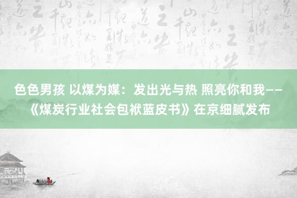 色色男孩 以煤为媒：发出光与热 照亮你和我——《煤炭行业社会包袱蓝皮书》在京细腻发布