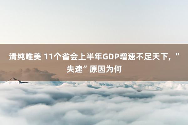 清纯唯美 11个省会上半年GDP增速不足天下, “失速”原因为何