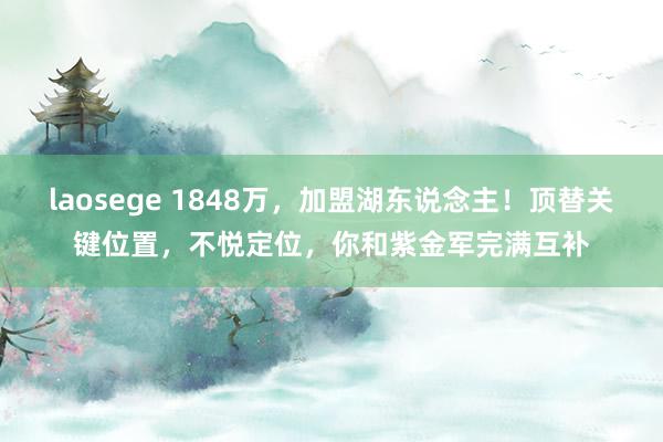 laosege 1848万，加盟湖东说念主！顶替关键位置，不悦定位，你和紫金军完满互补