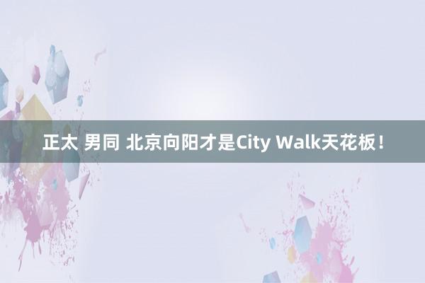 正太 男同 北京向阳才是City Walk天花板！