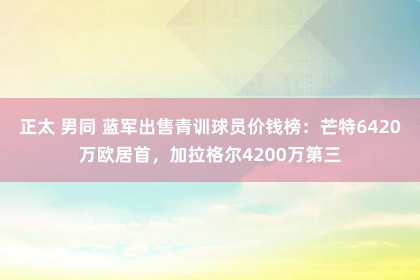 正太 男同 蓝军出售青训球员价钱榜：芒特6420万欧居首，加拉格尔4200万第三