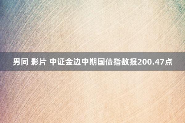 男同 影片 中证金边中期国债指数报200.47点