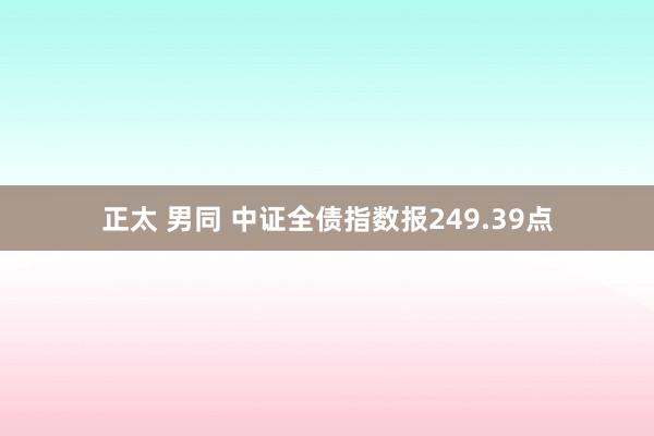 正太 男同 中证全债指数报249.39点