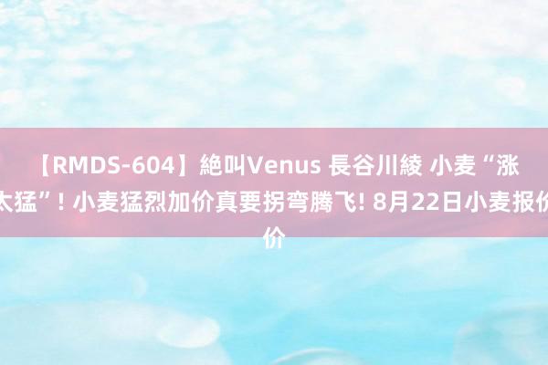 【RMDS-604】絶叫Venus 長谷川綾 小麦“涨太猛”! 小麦猛烈加价真要拐弯腾飞! 8月22日小麦报价