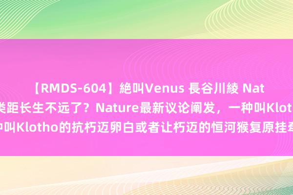 【RMDS-604】絶叫Venus 長谷川綾 Nature要紧发现！东说念主类距长生不远了？Nature最新议论阐发，一种叫Klotho的抗朽迈卵白或者让朽迈的恒河猴复原挂牵 #nature专属话题