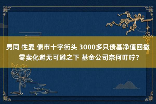 男同 性愛 债市十字街头 3000多只债基净值回撤 零卖化避无可避之下 基金公司奈何叮咛？