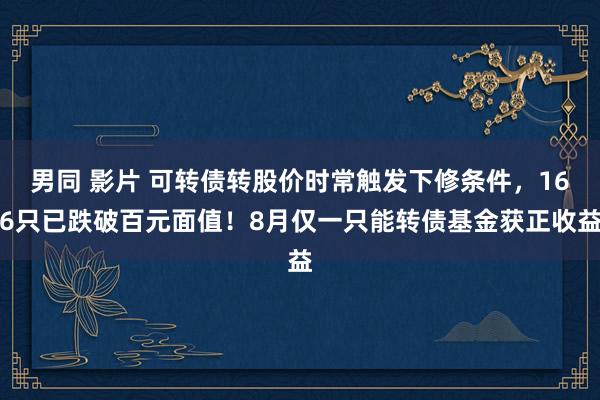 男同 影片 可转债转股价时常触发下修条件，166只已跌破百元面值！8月仅一只能转债基金获正收益