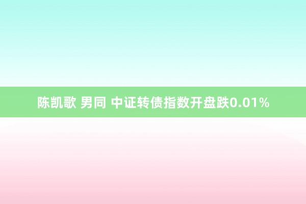 陈凯歌 男同 中证转债指数开盘跌0.01%