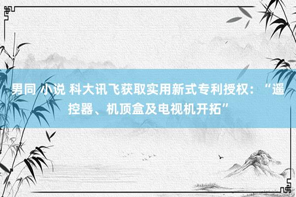 男同 小说 科大讯飞获取实用新式专利授权：“遥控器、机顶盒及电视机开拓”