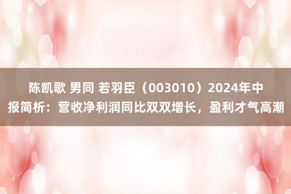 陈凯歌 男同 若羽臣（003010）2024年中报简析：营收净利润同比双双增长，盈利才气高潮