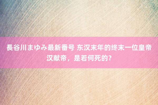 長谷川まゆみ最新番号 东汉末年的终末一位皇帝汉献帝，是若何死的？