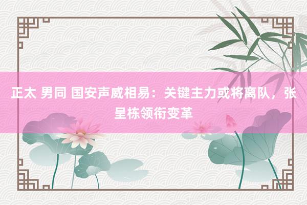 正太 男同 国安声威相易：关键主力或将离队，张呈栋领衔变革