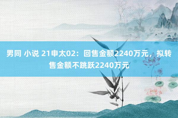 男同 小说 21申太02：回售金额2240万元，拟转售金额不跳跃2240万元